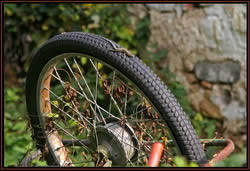 10/10/10 Casalborgone (TO). 11ª ed ultima prova Campionato Provinciale Torino di MTB 2010. 7° edzione "La via dei Cinghiali" 2010